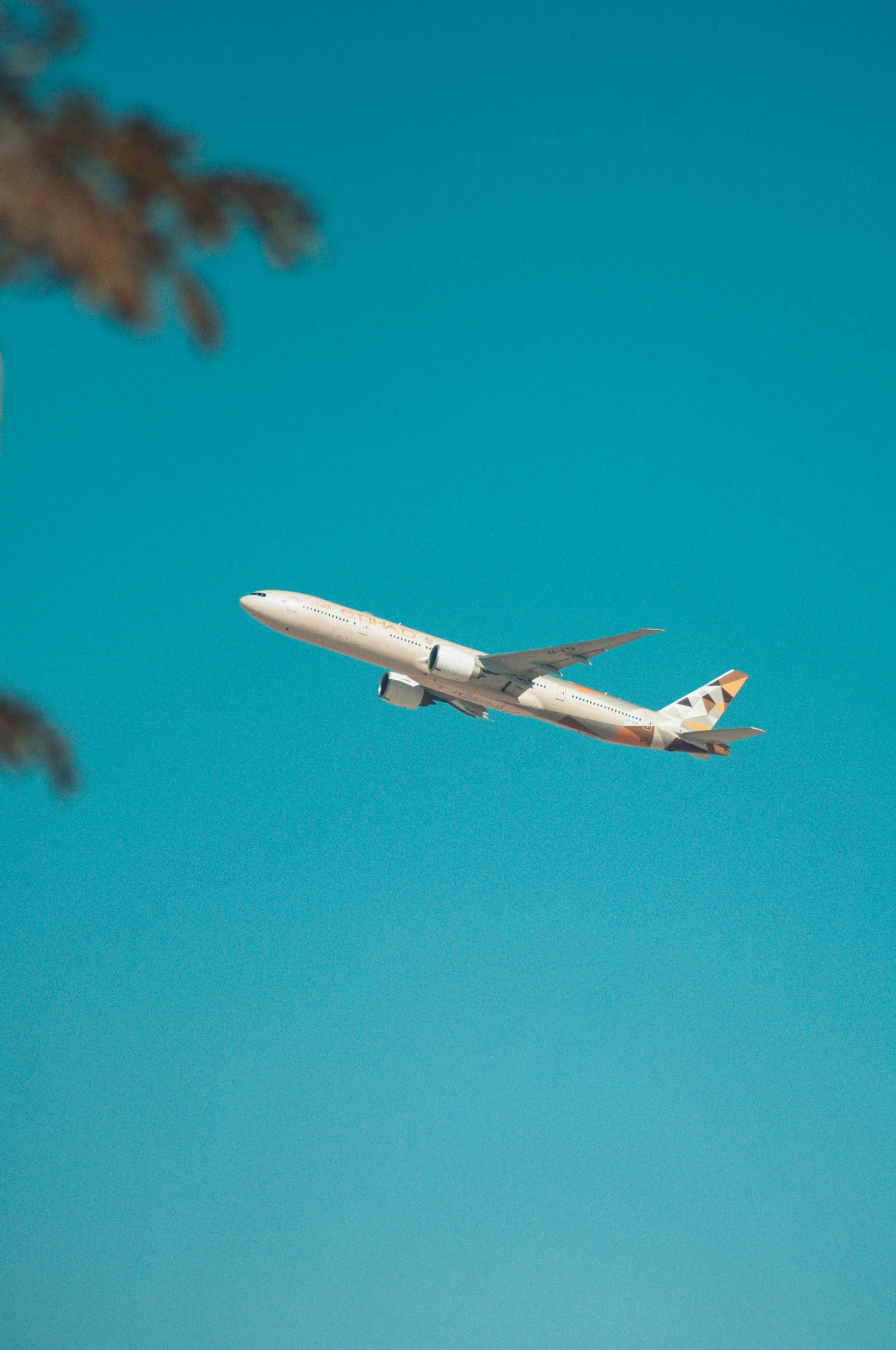 Airplane flying in the sky